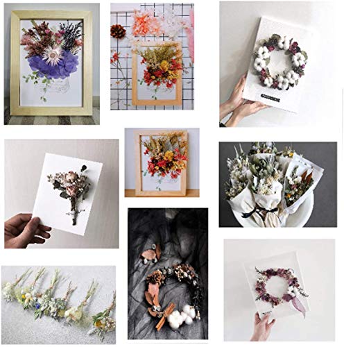 Shiwaki Kunstbloemen Simulatie Bloemen Doos Bewaarde Gedroogde Bloem Plant DIY Kaars Hars Sieraden Maken Craft Decor… - Afbeelding 7