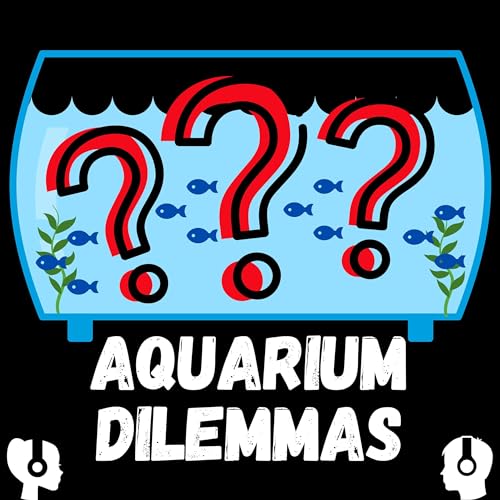 Why Are Bubbles In My Fish Tank? Aquarium Dilemmas Podcasts on