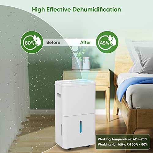 COLAZE Dehumidifiers with Drain Hose for Home Bedroom Bathroom Large Room