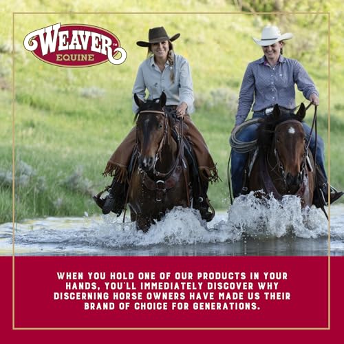 image for Weaver Leather Turquoise Diamond Beaded Horse Headstall, Leather Heads