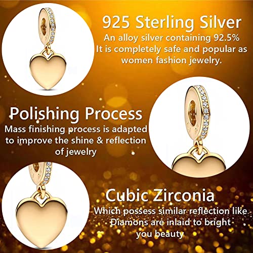 Jewelry Family Love Heart Charms 925 Sterling Silver with Cubic Zirconia for Women Bracelets and Necklaces,Mother's Day for Women2