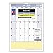 AT-A-GLANCE Monthly Wall Calendar, QuickNotes Design, Academic Year, 12 Months, July 2015-June 2016, 12 x 17 Inch Page Size (PM53-28)
