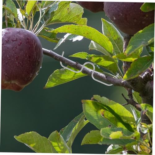 Garneck 10 piezas herramienta para doblar ramas de árboles frutales miniatura 5