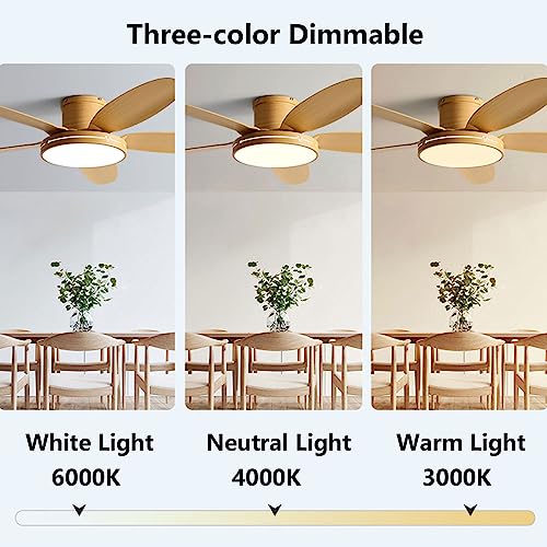 Ventilateur de plafond silencieux 30dB avec éclairage LED puissant et télécommande