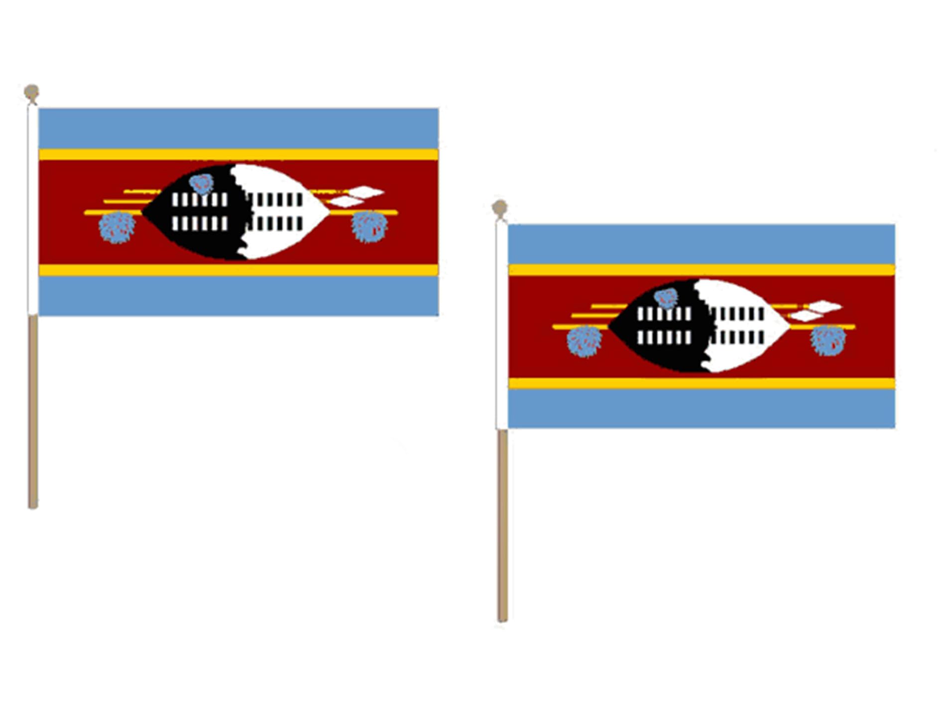 Drapeau Swaziland 45x30cm petit format pour défilé et pavoisement