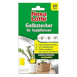 Nexa Lotte Gelbstecker 10 St.