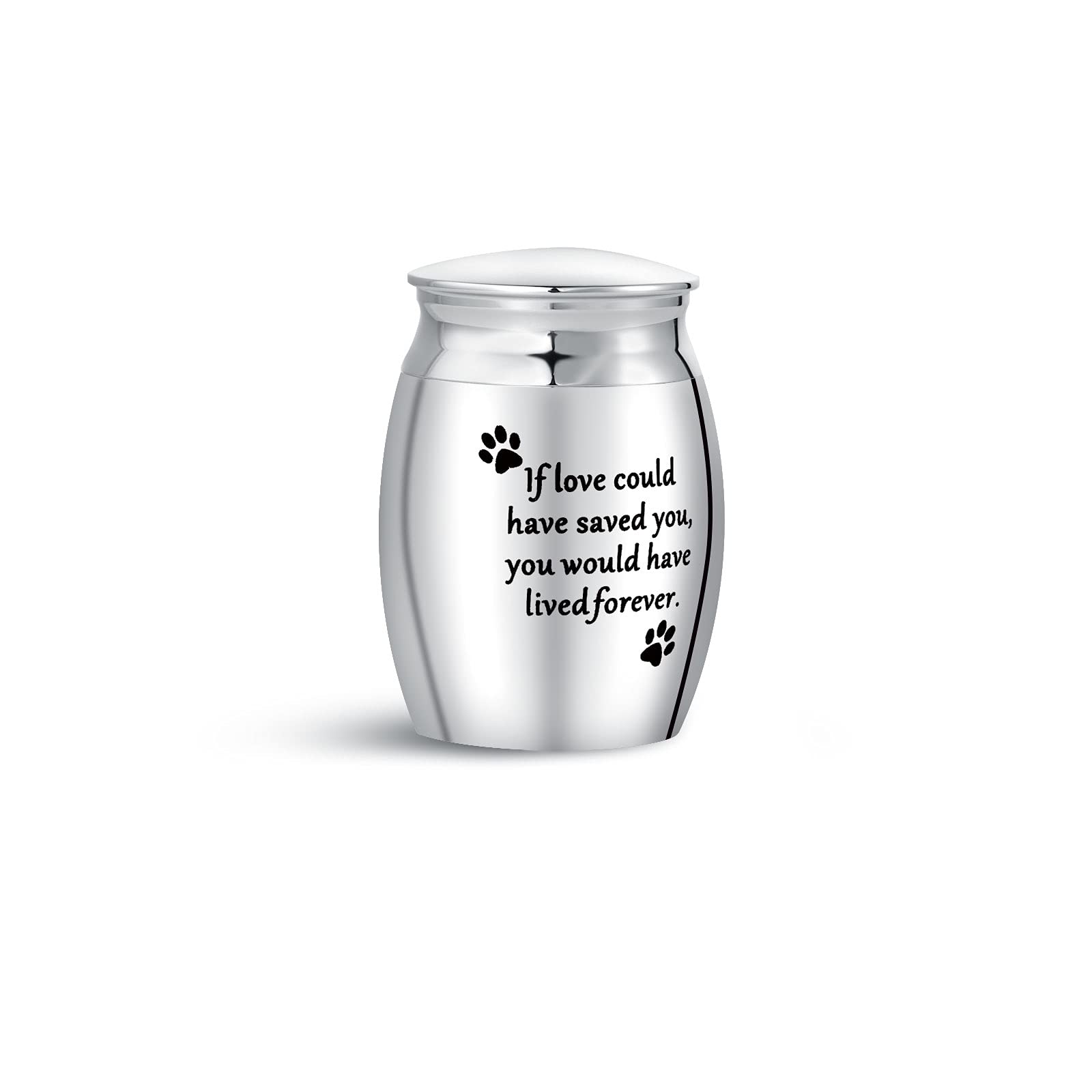 Mini Cremation Urn for Ashes Love Saved Dog Cat Puppy Sister Mum Dad Family Funeral Sepulchral Cinerary Keepsake Memorial Bottle