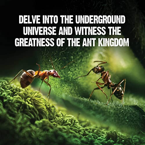 Dan&Darci DD-026 Light-Up Ant Farm Terrarium Kit thumb #4