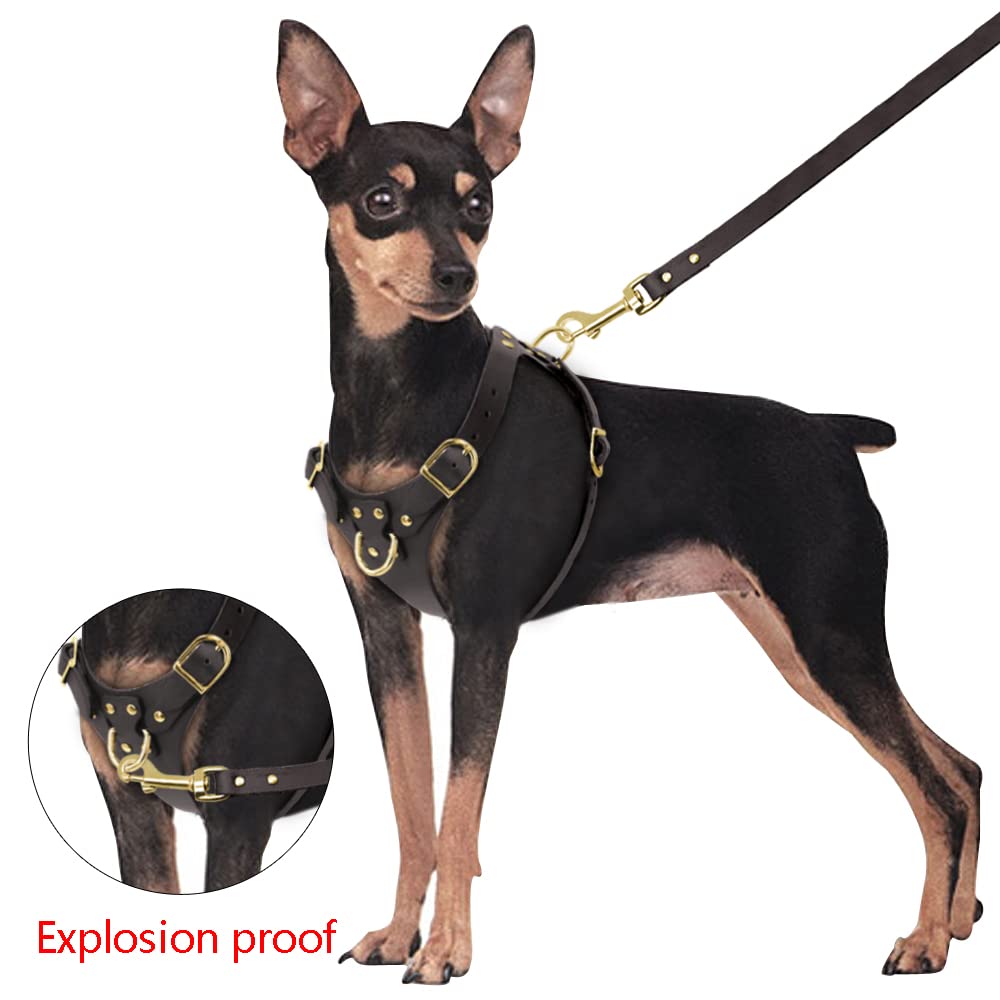 Amazon | 犬用ハーネス ピットブル犬用ハーネスリーシュセットプルなし