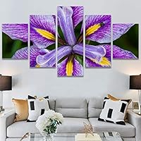 SIGNWIN 5 Panel Canvas Wall Art Botanical Chic Closeup Expressive Multicolor Photography Realism Ultra for Home Decorations Ready to Hang - 60