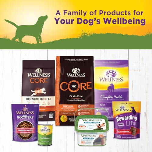 Image of Wellness Complete Health Pate Adult Canned Wet Dog Food, Wholesome Grains, Natural, Lamb and Sweet Potato, 12.5 oz, Pack of 12 Cans