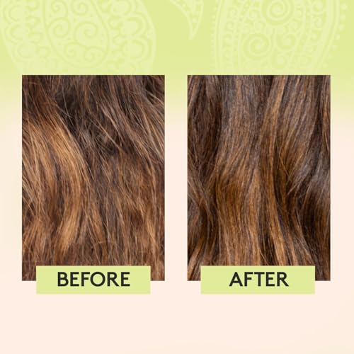 Delhicious 5-in-1 Leave in Conditioner Spray, Ayurvedic Hair Oil, Hair Mist - Rich Roots Amla Hair Oil, Argan Oil, Rosemary Oil for Hair - Detangler Spray, Anti Frizz Hair Products - Vegan - 75ml - Image 6