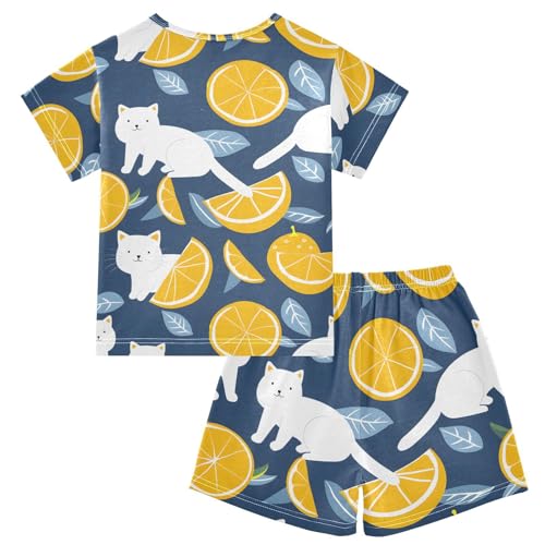 ALAZA Cat Kitten Lemon Blue Pajamas Short Sleeve 2 Piece Sleepwear Top and Bottom Pajama Set Unisex2