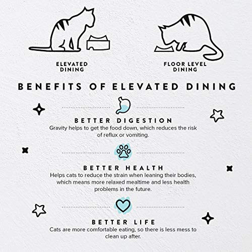 Catguru Food Table For Cat Bowl, Non Slip Pet Feeding Station For Cat Food Bowls, Raised Stand For Food And Water Cat Bowls, Elevated Cat Feeder, Stress Free Pet Dish Stand (Marshnallow) #TOP1