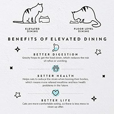 CatGuru Food Table for Cat Bowls, Elevated Feeding Station for Cat Food Bowl, Raised Stand for Pet Food and Water Bowls, Pet Feeder for Indoor Cats, Stress Free Stand for Pet Dishes or Plates (Grey)