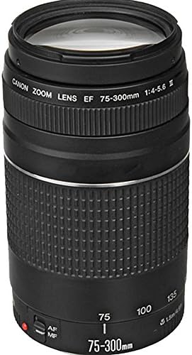 Miniatura 4 de Canon Cámara sin espejo EOS R8 RF 0.945-1.969 in f4.5-6.3 es STM + EF 2.953-11.811 in III + lentes HD de 16.535-31.496 in + accesorios incluidos 2