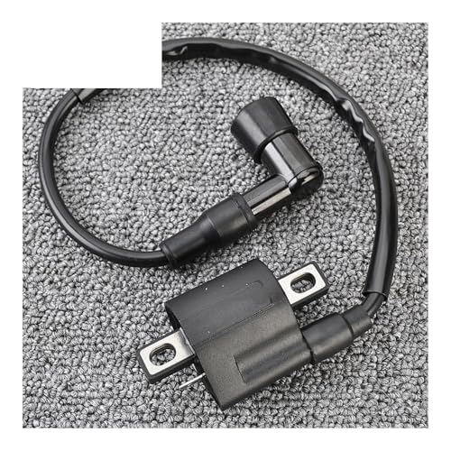Bobina de encendido de repuesto para modelos de scooter EW50, CY50 y CW50 2