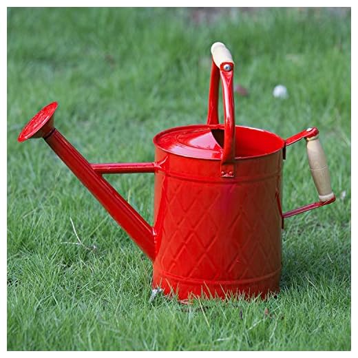 HORTICAN 1 Gallon Watering Can Decorative Farmhouse Watering Can, Red Watering Can, Metal Watering Can with Removable Spout, Perfect Plant Watering Can for Indoor and Outdoor