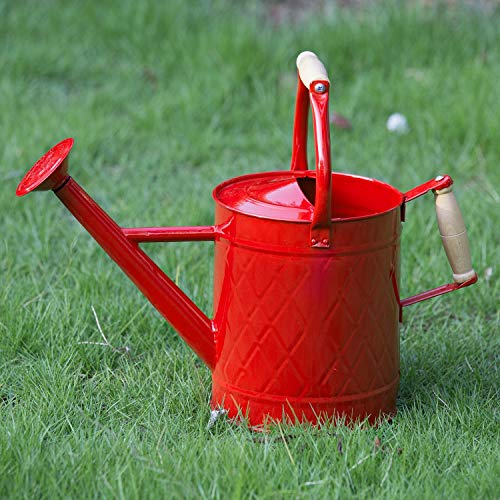 HORTICAN 1 Gallon Watering Can, Red, Galvanized, Metal Watering Can with Removable Spout, Perfect Water Can for Indoor & Outdoor Plants by HORTICAN - Used condition - US$16.22