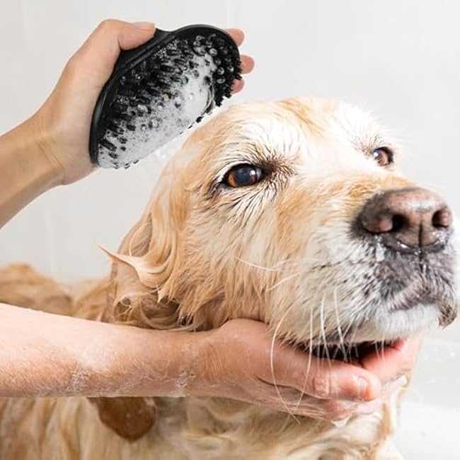 Dog Brush Kit for Grooming Short & Long Haired Dogs & Cats, 4-in-1 Pet Grooming Set with Self-Cleaning Slicker Brush, Deshedding Tool, Shampoo Bath Comb, Massge Comb (Blue Black)-AJrA2qvu