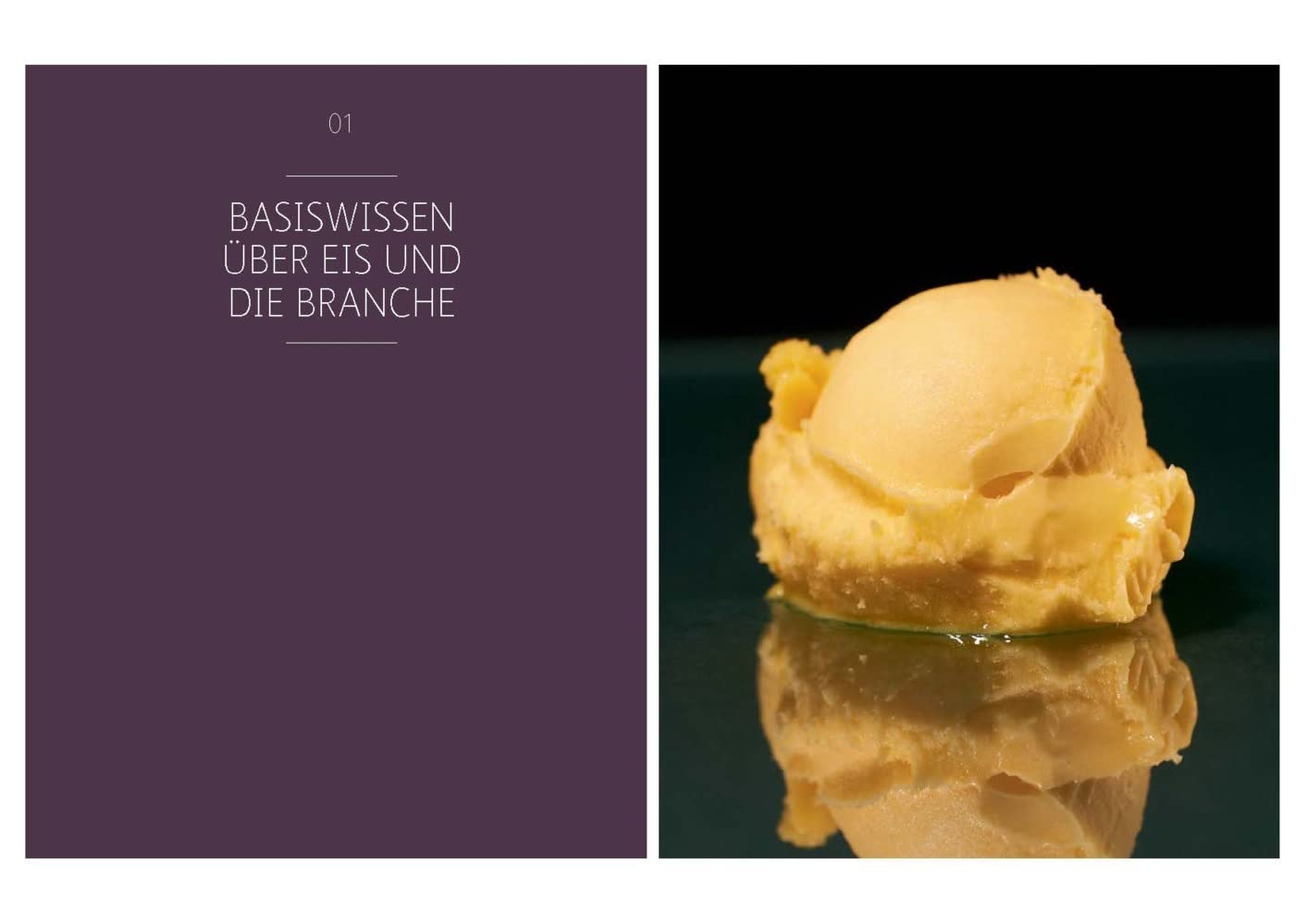 Eismanufaktur: Basics, Rezepturen, Marketing