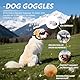Shyllin Sonnenbrille für Hunde Uv Schutz, Hundebrille Motorrad, Atmungsaktiv und Staubdicht, Cool Sonnenbrille für mittelgroße/große Hunde
