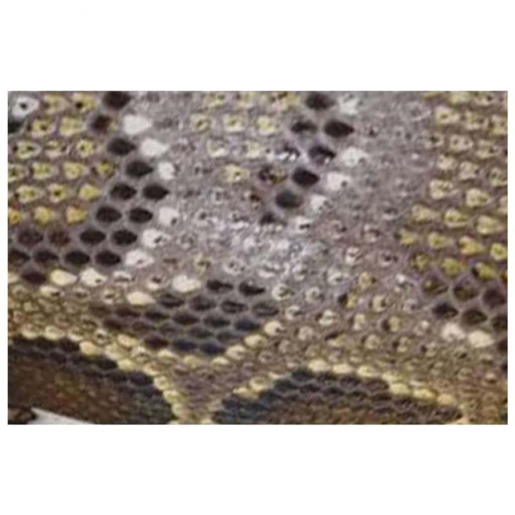 Tapis d'entrée intérieur et extérieur absorbant motif serpent