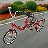 Rogowsen 20 Inch Adult Tricycle Folding Model, Seniors Shopping Cargo Trike, Trike Cruise, With Shopping Basket, for Men Women Seniors #5