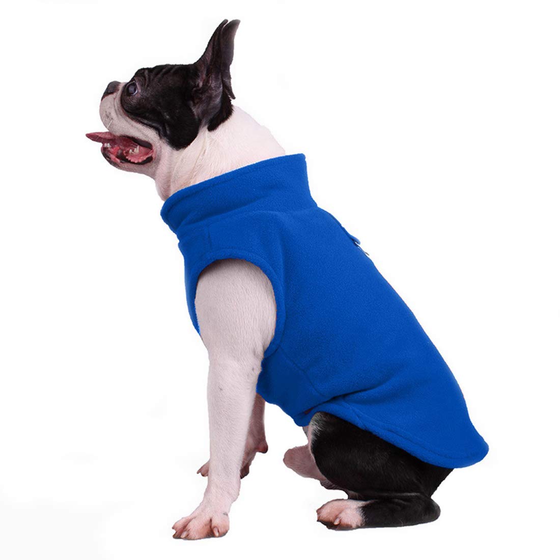 Pet Clothes