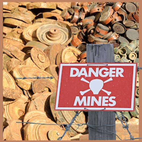 PART I Nukes, Landmines and Disarmament: A Conversation with Matthew Breay Bolton cover art
