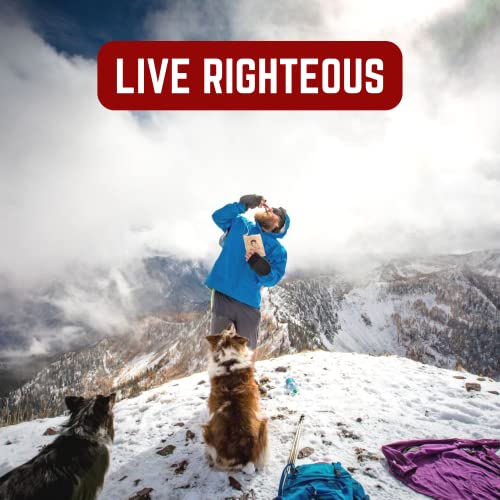 Righteous Felon Biltong Beef Jerky | Keto, Paleo, Gluten Free, High Protein | Hormone Free All Natural South African Style Biltong, No Artificial Flavors Or Preservatives, Low Carb Antibiotics (Variety Pack) #TOP4