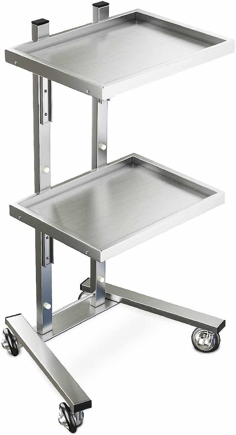 LJYKBFL Utility Cart Organizer Service Cart Salon Beauty Trolley 2 Tier Beauty Trolley Cart, Stainless Steel Salon Hairdressing Beauty Storage Trolley Rolling Cart, for Spa StoraSilver