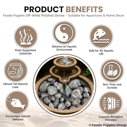 Image of Foodie Puppies 1Kg Off-White Polished Decorative Stones - (2.5cm - 4cm) Dull Finish Pebbles for Aquarium, Fish Bowl, Turtle Tank, Terrarium, Succulents, Garden Pot, Bamboo Plant & Home Decor Stones