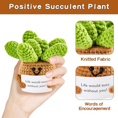 Image of Hoedia Handmade Emotional Pickle Gift, Cucumber Crochet Doll Inspirational Gifts with Cards, Cute Knitted Funny Support Pickle Potato Friend Birthday (Positive Succulent)