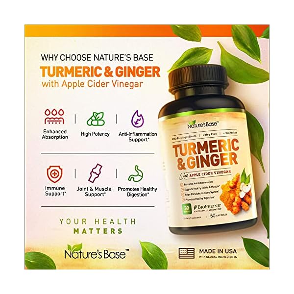 Turmeric-Curcumin-with-Ginger-Apple-Cider-Vinegar-BioPerine-Black-Pepper-95-Curcuminoids-Natural-Joint-Healthly-Inflammatory-Support-Antioxidant-Tumeric-Supplement-Made-in-USA-Natures-Base Turmeric and Ginger Supplement - Tumeric Curcumin Joint Support Pills - with Apple Cider Vinegar & BioPerine Black Pepper - 95% Curcuminoids - 60 Capsules