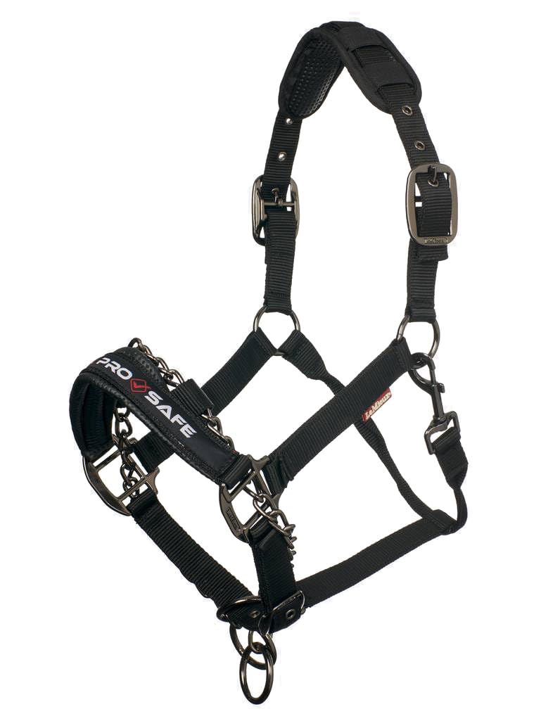 LeMieux Licol Pro-Safe Noir – Full/WB