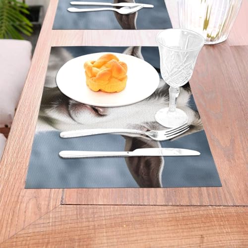 Set de table chèvre thermorésistant 46x30 cm tissé antidérapant - 6