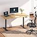 FLEXISPOT E6 Essential Bamboo 3 Stages Dual Motor 60x30 Inch Electric Height Adjustable Standing Desk Whole-Piece Board Desk Sit Stand Up Desk (Black Frame + Bamboo Desktop)