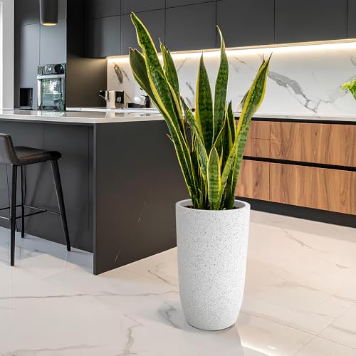 Image of YUCCABE ITALIA FOXB TPC 24 INCH Pots for Plants Highly Durable Polymers Lightweight Indoor Outdoor Plant Pots, Flower Pot Gamla Tree Planter Container Planters for Living Room, Balcony, Garden