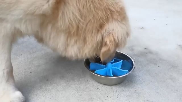 Slow Feeder Insert for Dog Bowl,Silicone Pet Food Slow Feeder(Cuttable),with Suction Cups for Large Breed and Medium Small Size Compatible with Regular Elevated Metal Glass Bowl - image 8