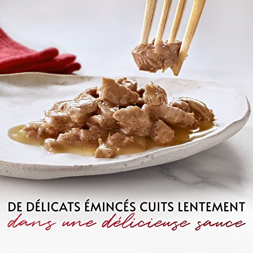 Gourmet MON Petit Intense | Katze | Diskrete in Soße | Thunfisch, Lachs, Forelle | 8 Stück à 6 x 50 g | Frischebeutel