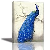 Peacock Wall Art Decor for Bedroom, PIY Beautiful Oil Painting Canvas Prints, Elegant Proud Peacock