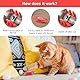 TNSLAND Elektrisches Katzenspielzeug 3 Stück, Interaktives Katzenspielzeug Maus Katzen Spielzeug Kitten, in Hexbug-Insektform Kakerlaken Spiel für Hunde und Katzen Beschäftigung
