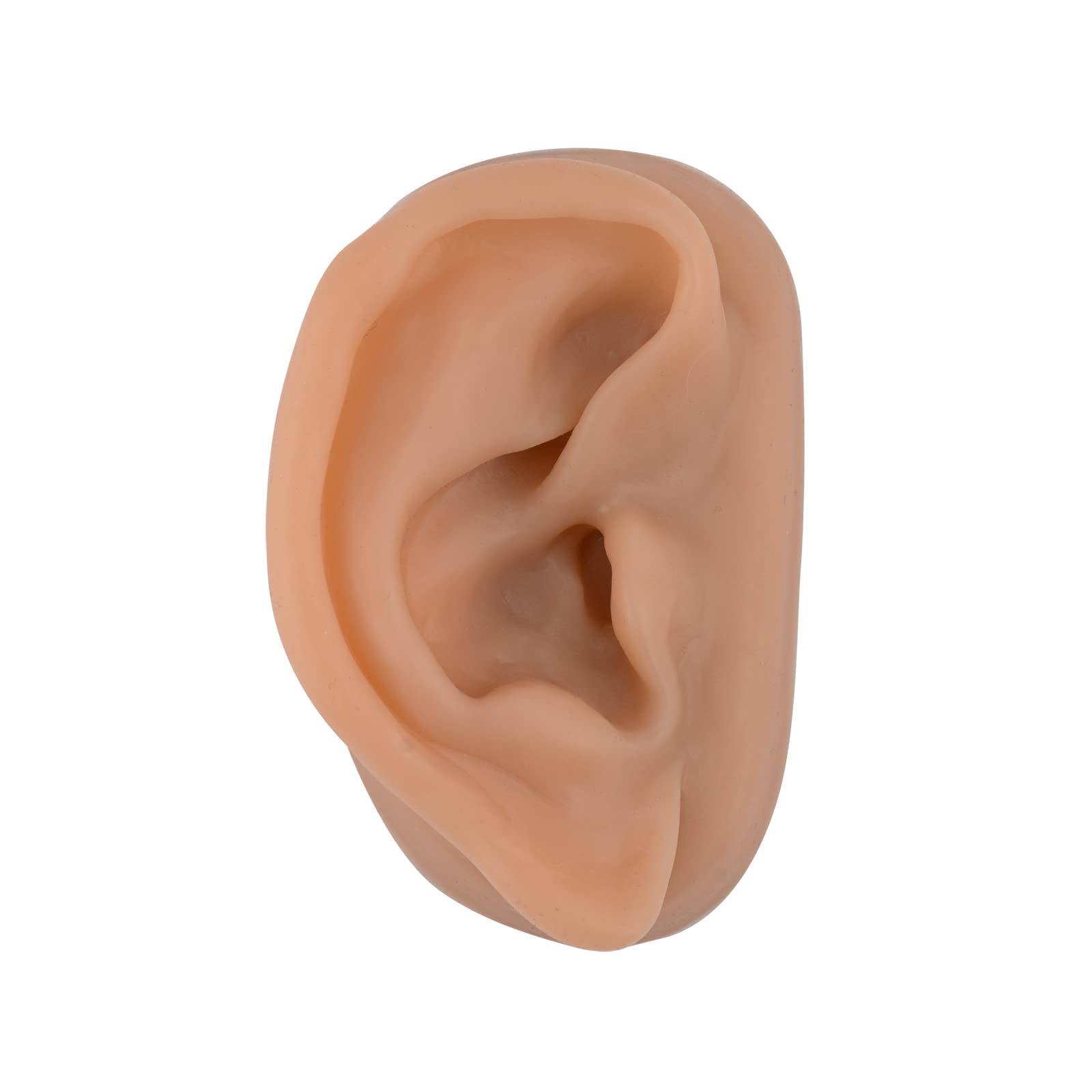 Acupuncture Ear Model, Right Artificial Ear Replica for Auricular Therapy Teaching, Silicone Ear Simulator (Brown)-picture-18