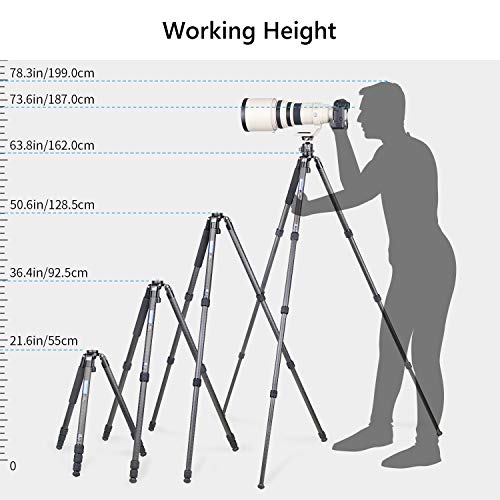 AS80C Kamerastativ aus Kohlefaser, sehr stabil und leicht, professionelles Kamerastativ, maximale Traglast 20 kg, 65 mm… – Bild 7