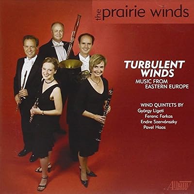 Turbulent Winds