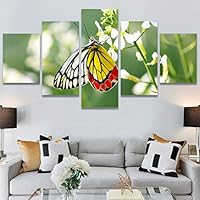 SIGNWIN 5 Panel Canvas Wall Art Birds Butterfly Closeup Colorful Contemporary Home Office Modern Art Multicolor Photography for Home Decorations Ready to Hang - 60