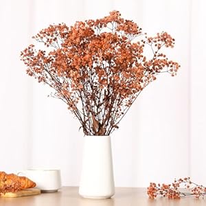Babys Breath Dried Flowers Bouquet-17'' 1800+ Ivory Dry Flowers, Natural Gypsophila Branches for Wedding, Home Table Vase Decor, DIY Wreath Floral, Fall Thanksgiving Autumn Decoration (Brown, 2oz) Babys Breath Dried Flowers Bouquet 17 1800 Ivory Dry Flowers Natural Gypsophila Branches for Wedding Home Table Vase Decor DIY Wreath Floral Fall Thanksgiving Autumn Decoration Brown 2oz