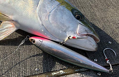 シマノ(SHIMANO) ルアー エクスセンス サイレントアサシン 99S AR-C XM-299N 011 キョウリンボラ 3枚目