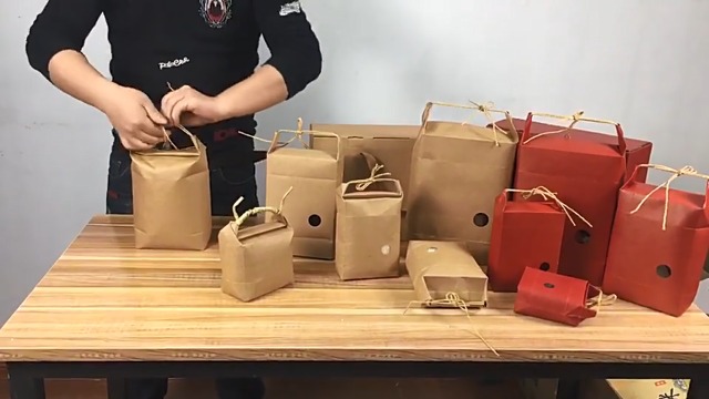 Amazon｜10枚 5kg用 米袋 紙袋 窓付 紐付 ラッピング袋 密閉袋